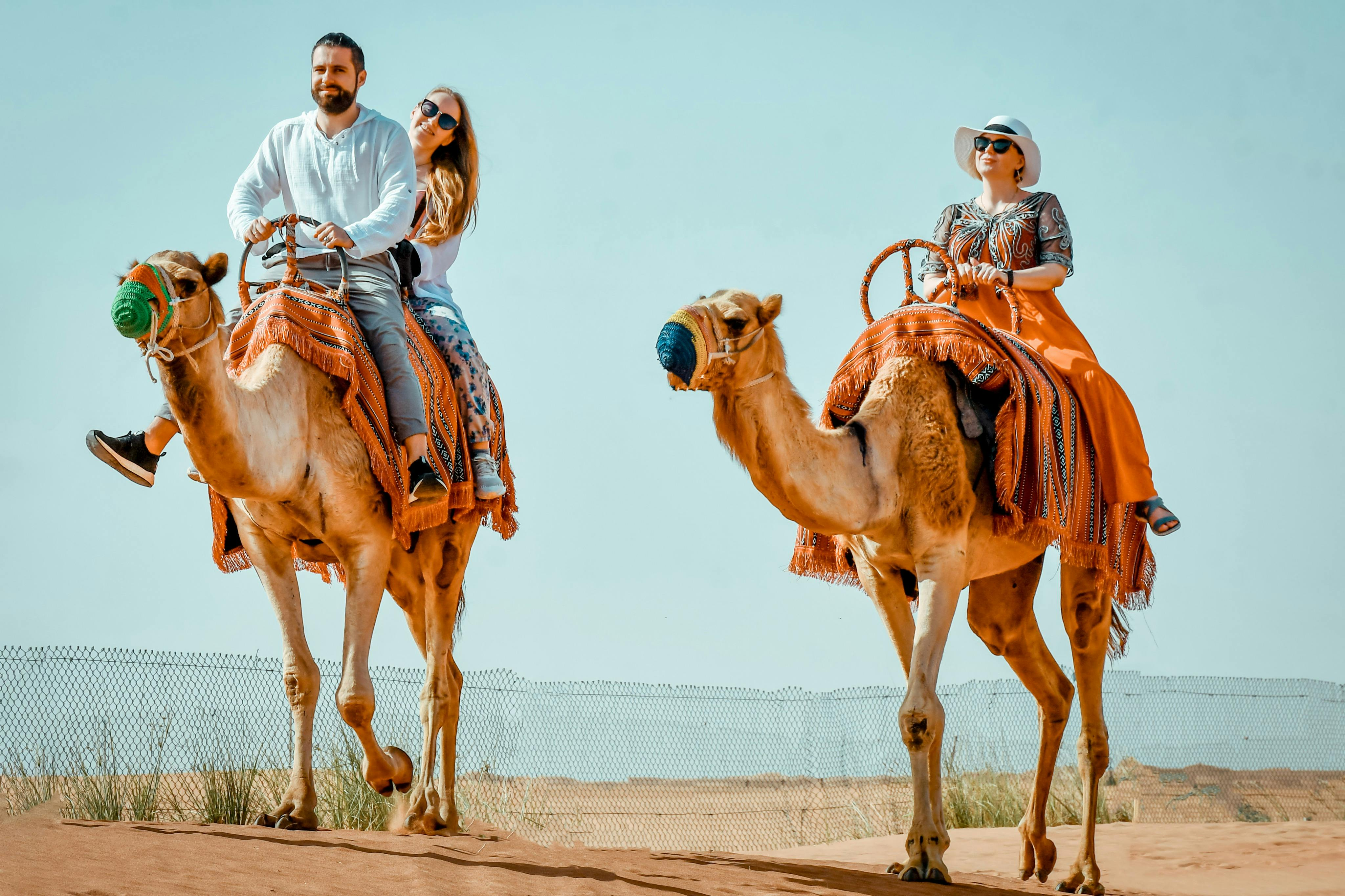 Dubai: Evening Desert Safari + BBQ Dinner - Photo 1 of 3